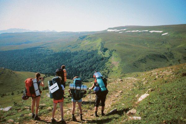 Où observer les tortues de mer lors de leur ponte sur les plages du Costa Rica : saisons et conseils ?