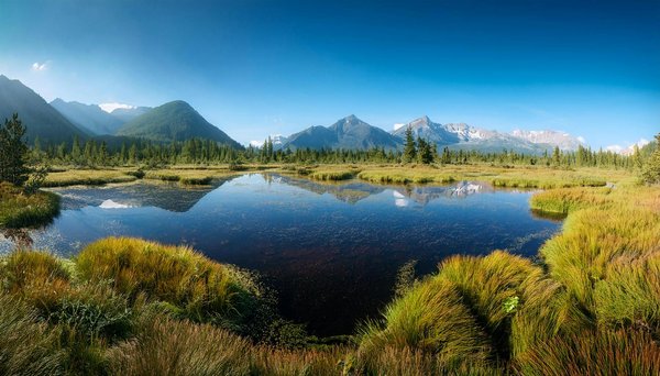 Comment organiser un camping pour une expédition de plongée en apnée aux Maldives?