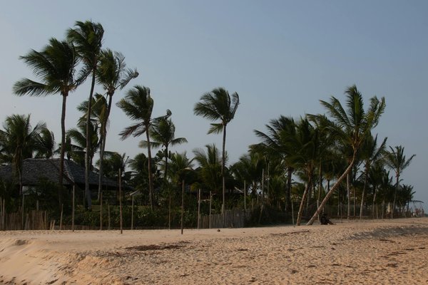 Quels sont les secrets pour une exploration réussie des grottes de glace en Islande : périodes et équipements ?